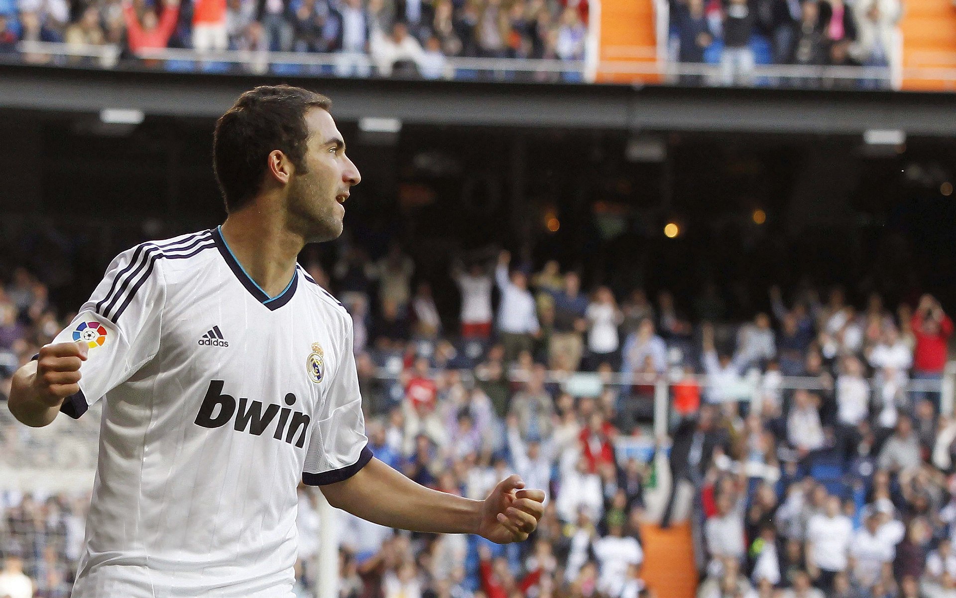 福建鲟龙攻守平衡提升球队竞争力，鲟龙鱼是什么鱼啊_