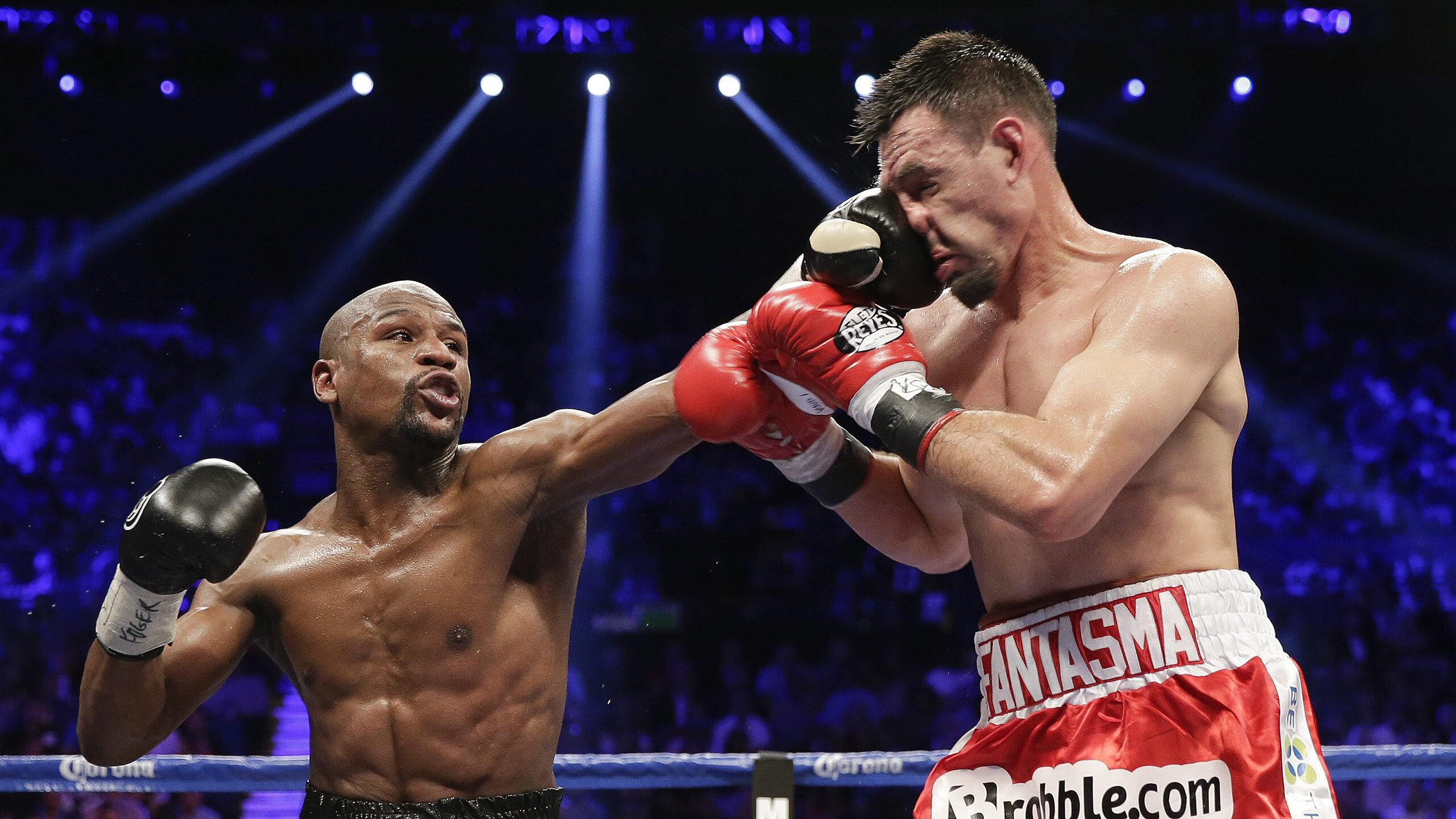 网球明星访谈内容精彩，网球明星访谈内容精彩片段